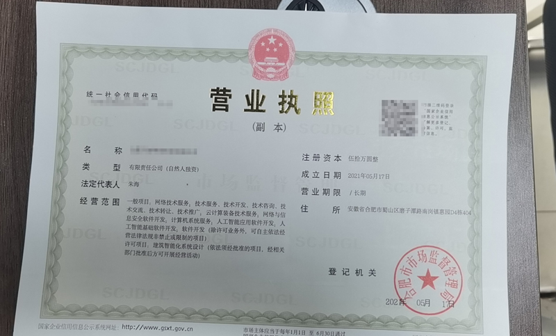合肥某网络科技公司